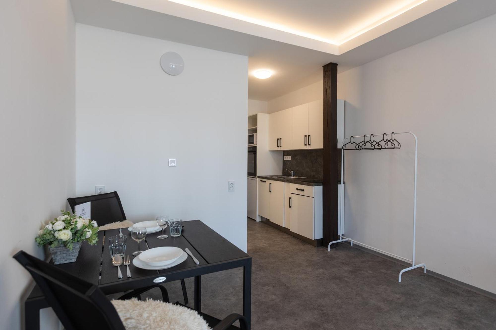 Apartmany Otakarova 체스케부데요비체 외부 사진